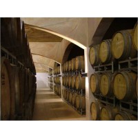 Grandes vinos varietales orgnicos certificados, premium y blends de alta gama del Valle Central (Mendoza, Argentina)