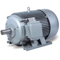 Y la serie motor asncrono trifsico Y series three-phase asynchronous motor